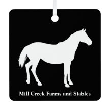 Nom d'entreprise équestre Cheval Blanc