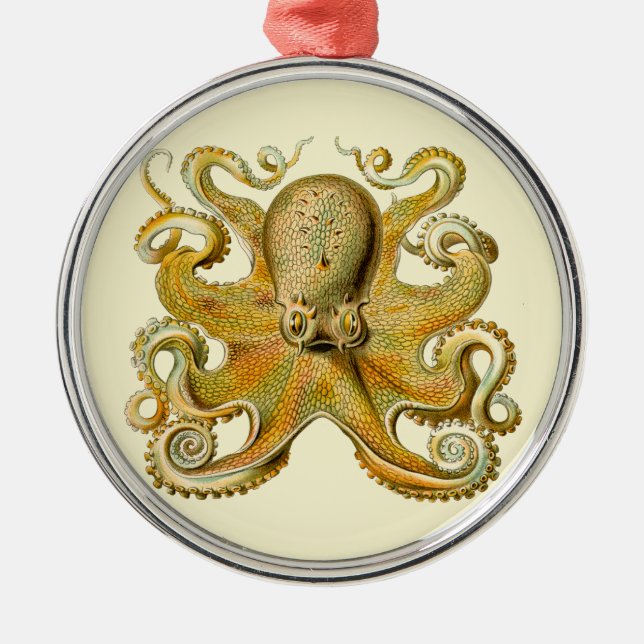 Ornement En Métal Octopus illustration antique monstre marin (Devant)