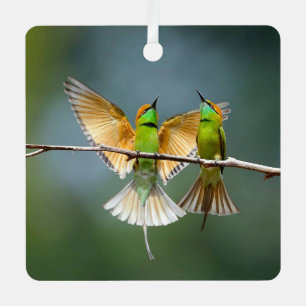 Ornement En Métal Oiseaux verts folâtrent dans la photographie d'arb