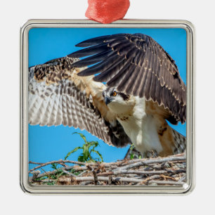 Ornement En Métal Osprey juvénile dans le nid