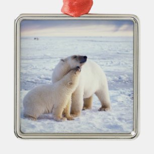 Ornement En Métal Ours polaire femelle avec ourson, meute