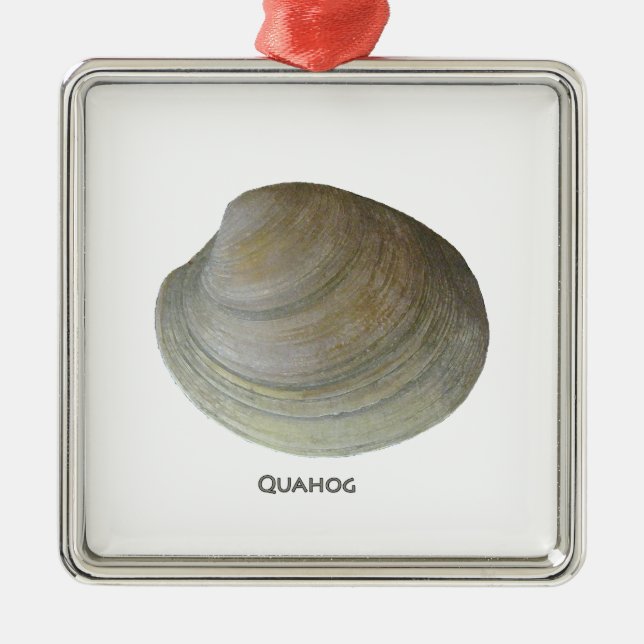 Ornement En Métal Palourde de clam (Devant)