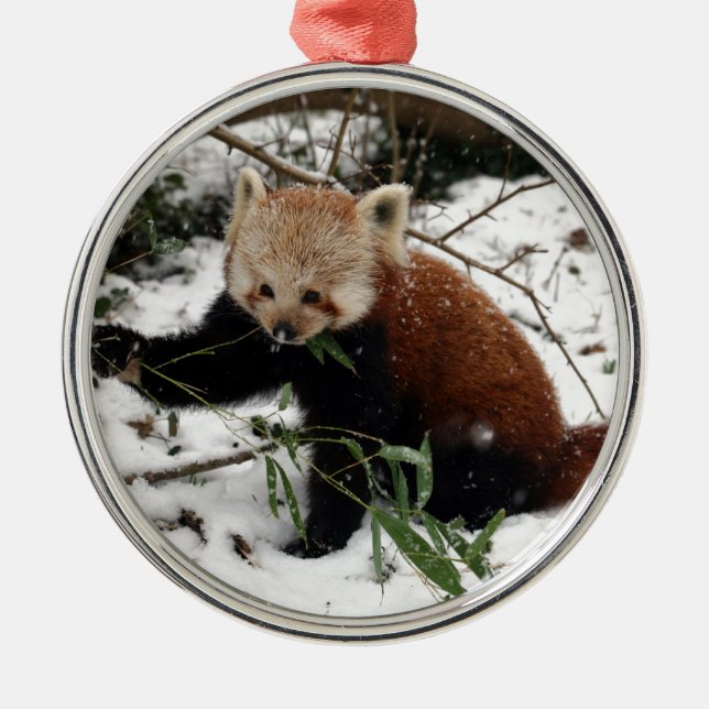 Ornement En Métal Panda rouge (Devant)