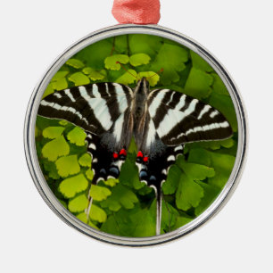 Ornement En Métal Papillon américain à queue d'hirondelle