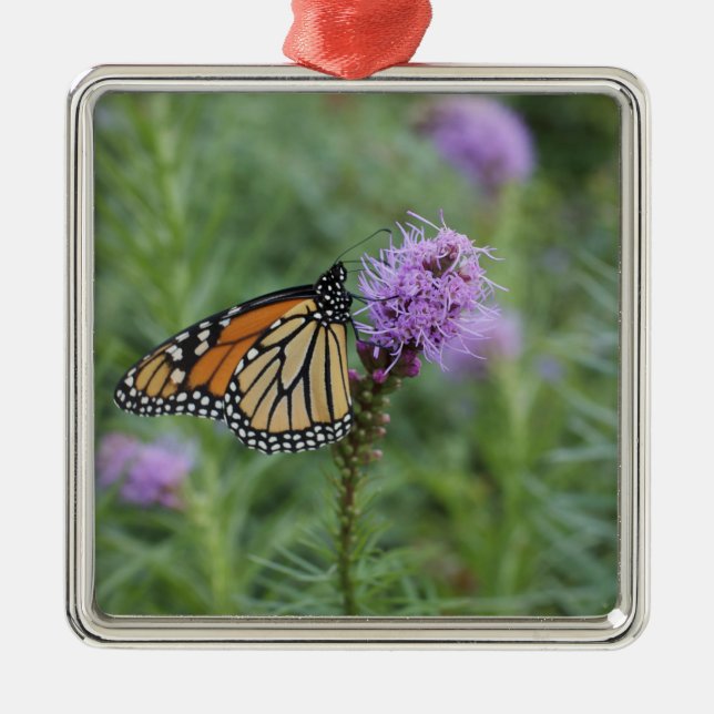 Ornement En Métal Papillon de monarque (Devant)