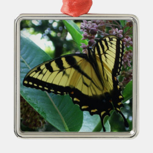 Ornement En Métal Papillon Swallowtail I sur Asclépiade à Shenandoah