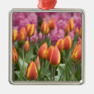 Ornement En Métal Pays-Bas (aussi appelé Hollande), Lisse. Keukenhof