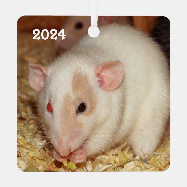 Ornement En Métal Personalized Odd Eye Beige Dumbo Fancy Pet Rat (Verso)