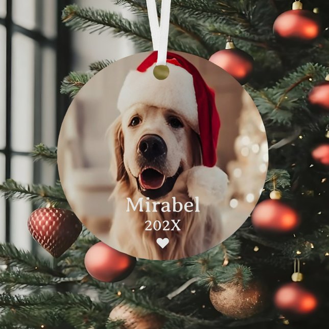 Ornement En Métal Personnalisé 2 Animaux de compagnie Photo & Monogr (Custom 2 Pet Photo & Monogram Name Metal Ornament)