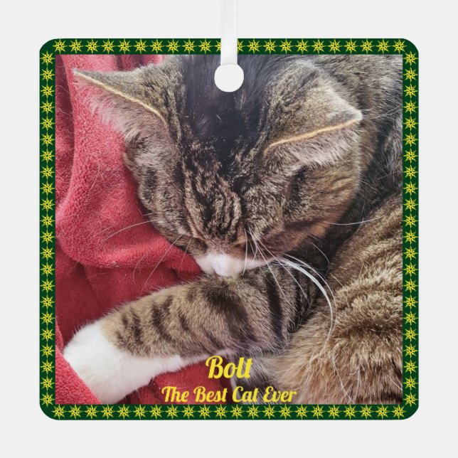 Ornement En Métal Pet Photo Green Gold Border Nom Saying Ornament (Recto)