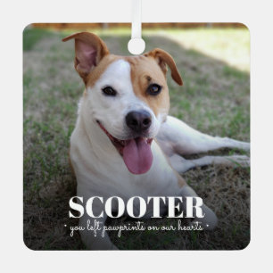 Ornement En Métal Photo commémorative du chien
