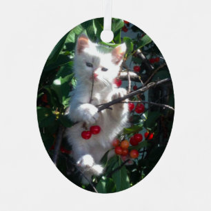 Ornement En Métal Photo de chat de famille Keepsaké