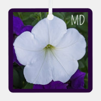 Photo de Fleur Blanche Beauté pour Ashes Bible Ver