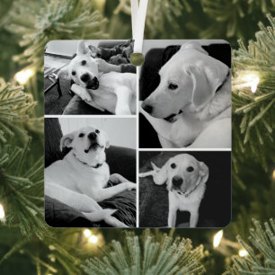 Ornement En Métal Photos de chien noir et blanc mignons et drôles