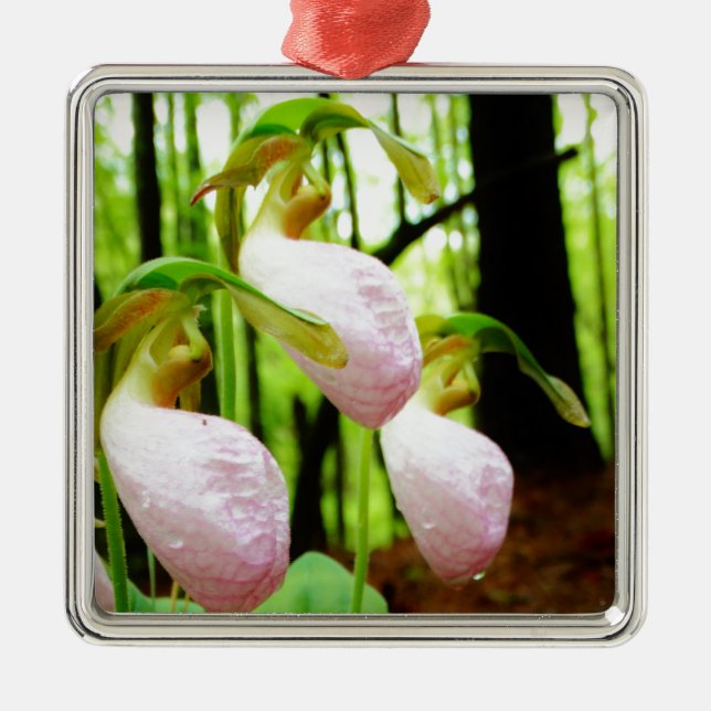 Ornement En Métal Pink Lady Slipper sauvage orchidée (Devant)