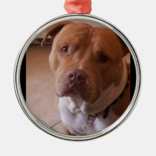 Ornement En Métal pitbull