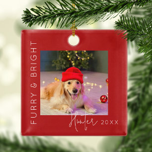 Ornement En Métal Poilu & Brillant Arbre de Noël Photo d'Animaux d