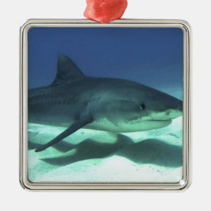 Ornement En Métal Poisson de requin Océan tropical Destin Cadeaux