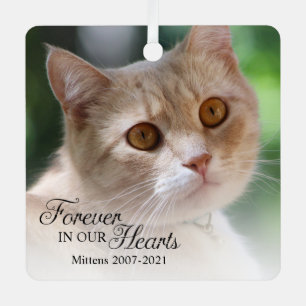 Ornement En Métal Pour toujours dans nos coeurs photo de chat