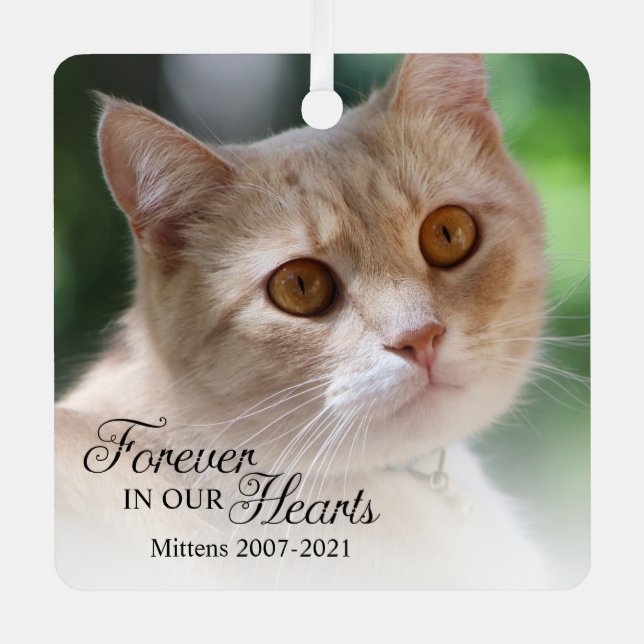 Ornement En Métal Pour toujours dans nos coeurs photo de chat (Recto)
