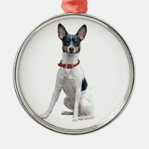 Ornement En Métal Rat Terrier (A)
