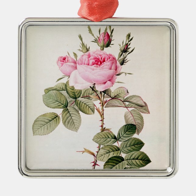 Ornement En Métal Rosa Bifera Officinalis, des 'roses de Les (Devant)
