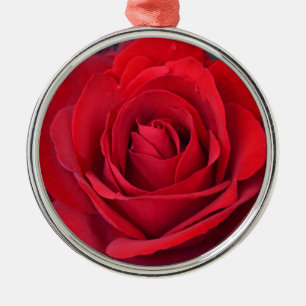 Ornement En Métal Rose rouge simple en pleine floraison