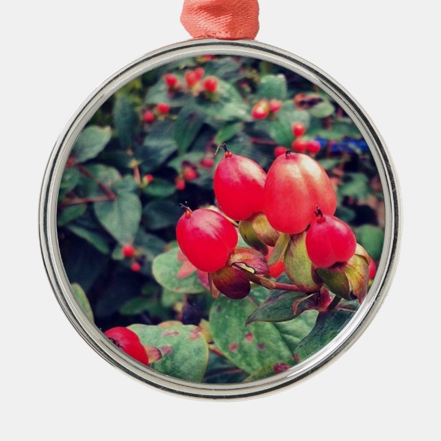 Ornement En Métal Rouge (Devant)