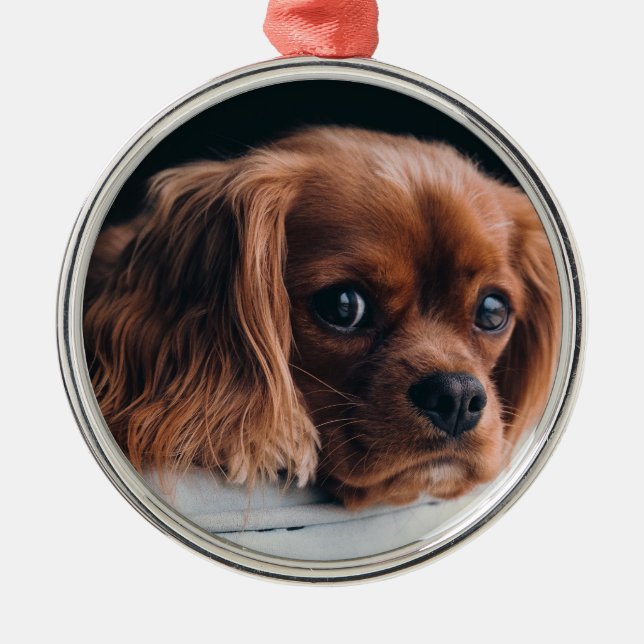 Ornement En Métal Ruby Cavalier King Charles Spaniel (Devant)
