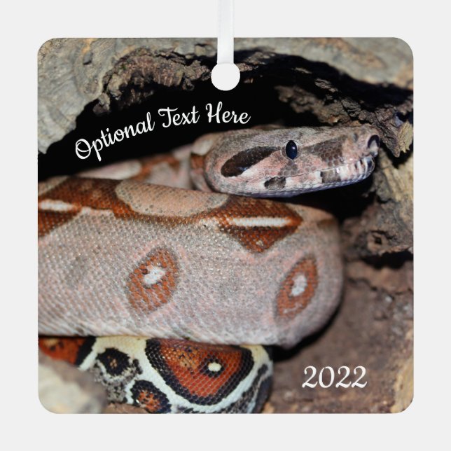 Ornement En Métal Serpent de constriction de la queue rouge (Recto)