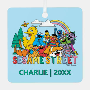 Ornement En Métal Sesame Street Vague Arc-en-ciel