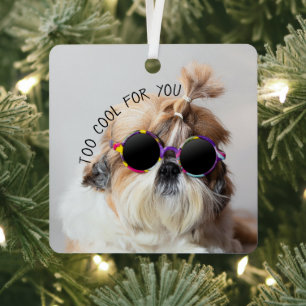Ornement En Métal Shih Tzu Trop Cool pour vous Lunettes de soleil Ph