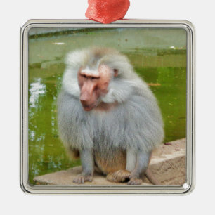 Ornement En Métal Singe gris, Ape Macaque, Nature, Animaux