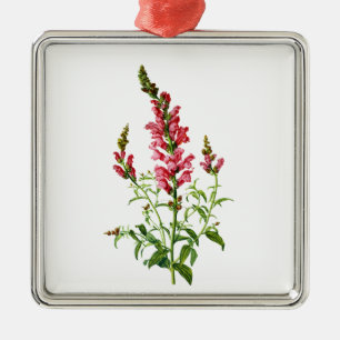 Ornement En Métal Snapdragon Rose Tiré De La Nature