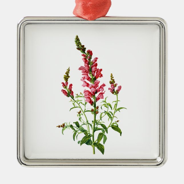 Ornement En Métal Snapdragon Rose Tiré De La Nature (Devant)