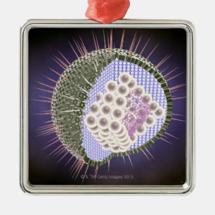 Ornement En Métal Structure 2 de virus du herpès