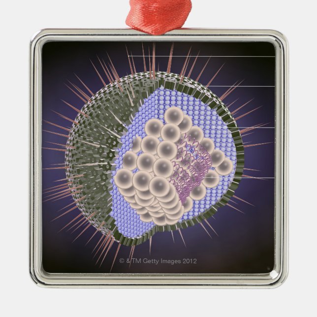 Ornement En Métal Structure de virus du herpès (Devant)
