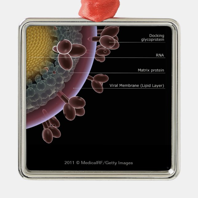 Ornement En Métal Structure d'une cellule d'HIV (Devant)