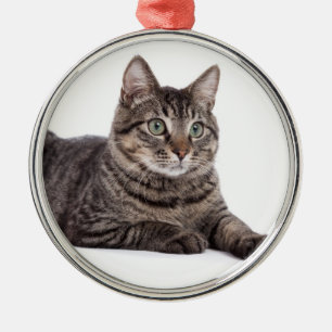 Ornement En Métal Tabby Gris