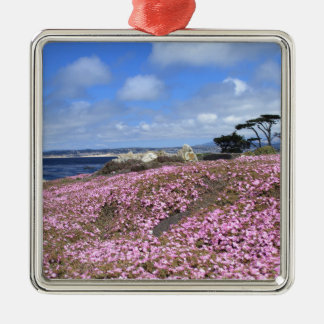 Ornement En Métal Tapis Pacifique de pourpre de verger