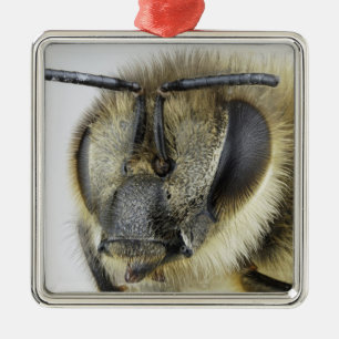 Ornement En Métal Tête d'abeille