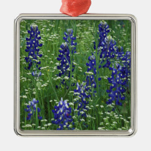 Ornement En Métal Texas, lac Buchanan. Texas Bluebonnet et Sauvage