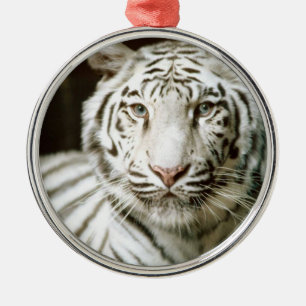 Ornement En Métal Tigre blanc