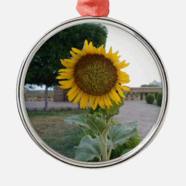 Ornement En Métal Tournesol (Devant)