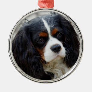 Ornement En Métal Tri Couleur Cavalier King Charles Spaniel Céramiq