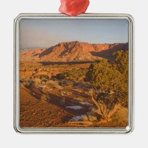 Ornement En Métal Un arbre de genévrier de l'Utah (Juniperus osteosp