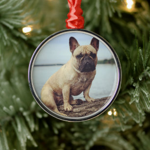 Ornement En Métal Un Bulldog français
