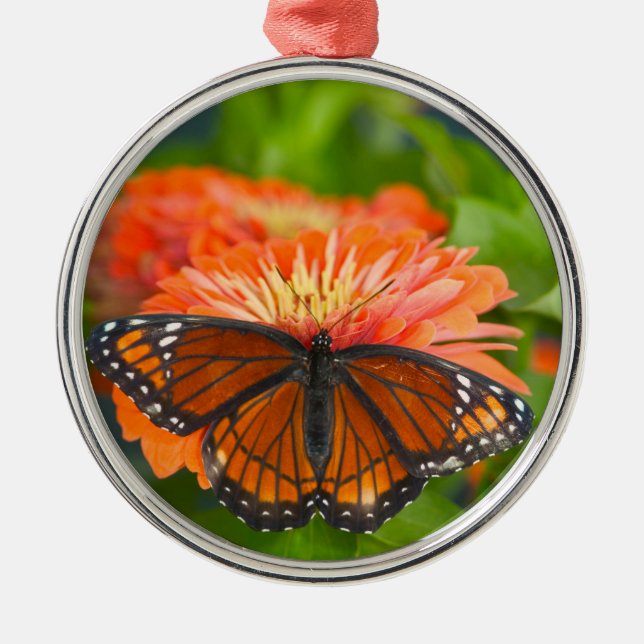 Ornement En Métal Un papillon Viceroy sur Orange Zinnias (Devant)
