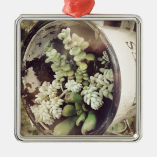 Ornement En Métal Une tasse remplie de plantes succulents