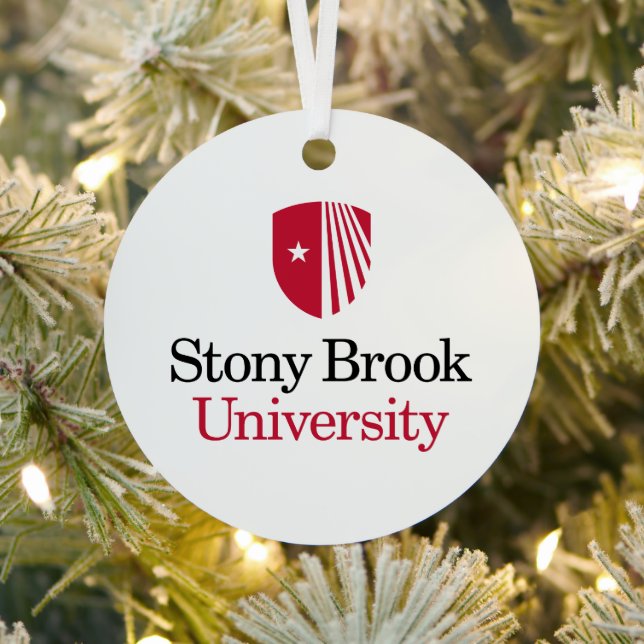 Ornement En Métal Université Stony Brook | Mot-symbole (Insitu)